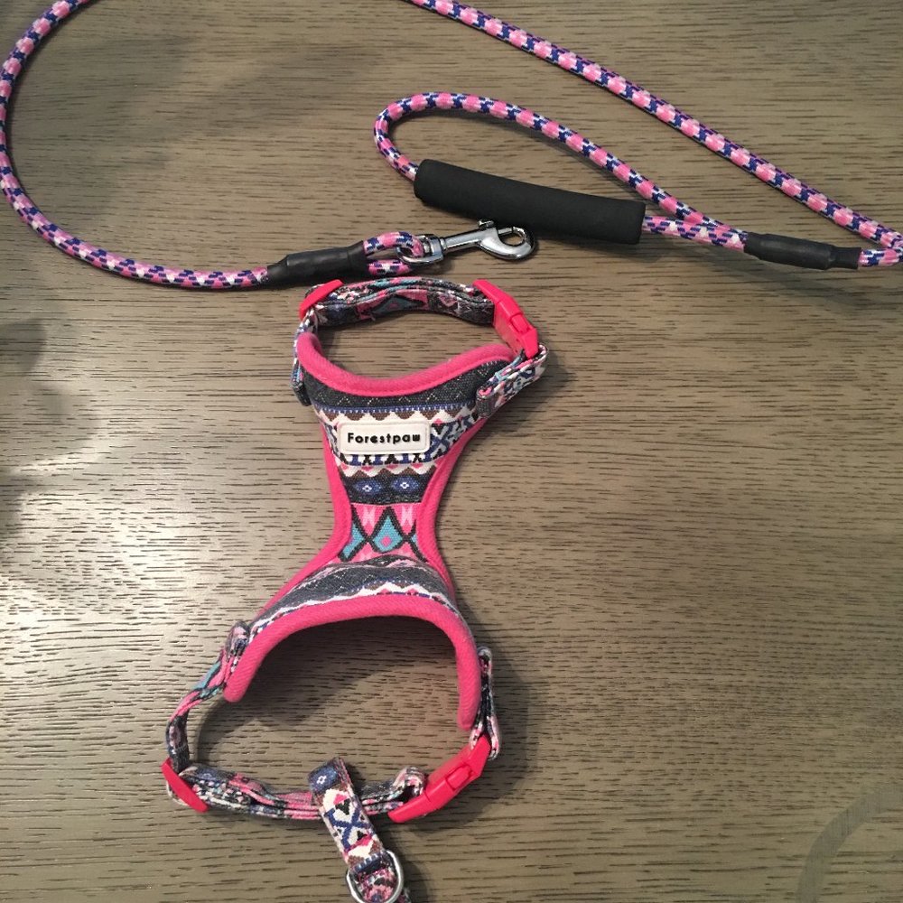 MULTI COLORED SMALL DOG HARNESS WITH LEASH
